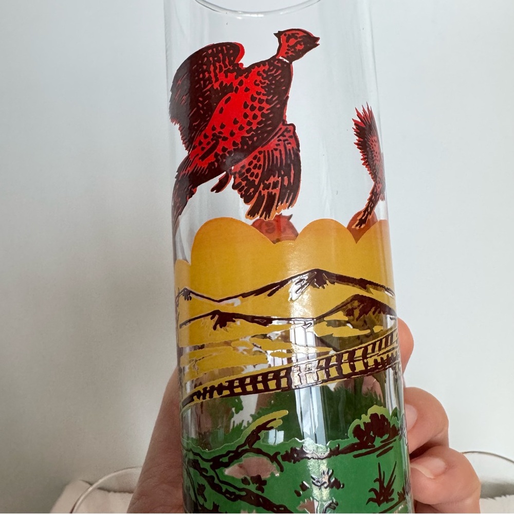 6 MCM Tom Collins Tumblers Tall Drinking Glasses Pheasant Hunting Scene - Picture 4 of 6